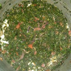Fried Sukuma wiki A picture of Fried Sukuma wiki.