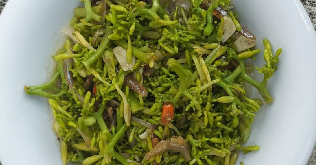 107 resep tumis bunga pepaya tanpa rasa pahit  enak dan 