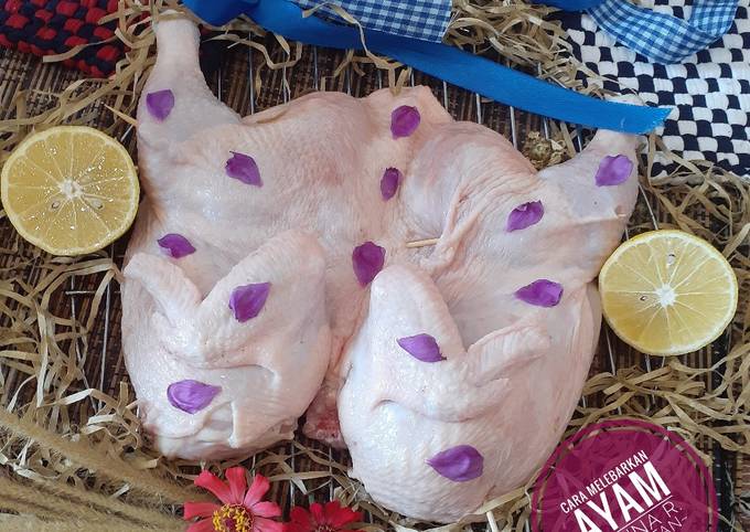 Cara Melebarkan Ayam Untuk Ayam Bekakak