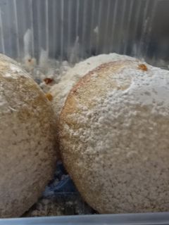 Una foto de Mamul