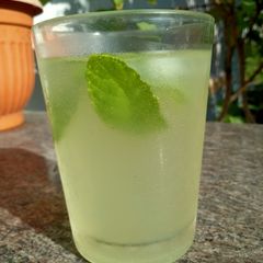 A picture of Mojito.