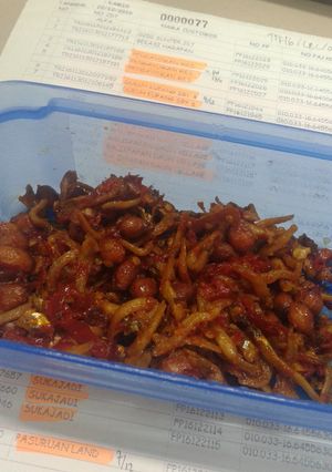 Foto resep Balado gurih teri medan