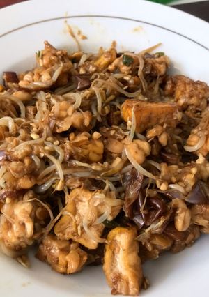 Foto resep Tauge Tempe Tahu Terong (4T) Tumis non MSG