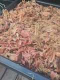 Bbq Pulled pork - tépett sertéslapocka - füstön sütve
