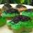 Kue Cubit Simple