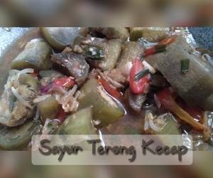 Resep Mudah Sayur Terong Kecap Enak dan Sehat Resep Mudah Sayur Terong Kecap Enak dan Sehat