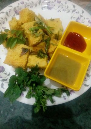 A picture of Instant Dhokla.
