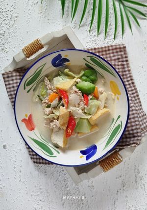 Foto resep Lodeh Ayam Giling Bumbu Iris