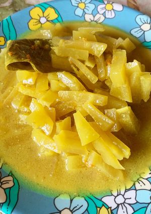 Foto resep Sayur Santan Pepaya Muda
