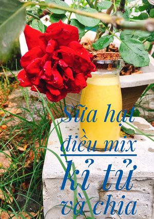 Hình của món Sữa hạt điều mix kỉ tử và chia.