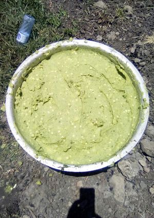 A picture of African mukimo.