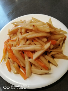 A picture of Burdock w/ Carrot.