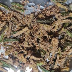 A picture of Kurkure Bhindi.