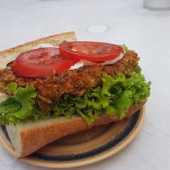 A picture of Seitan.