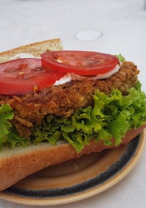 A picture of Seitan.