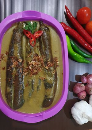 Foto resep Opor Terong Ungu