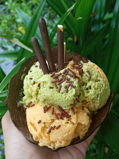 Foto resep Ice Cream praktis n lembut (tanpa mixer)