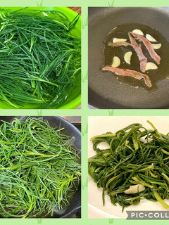 Foto di 109 • Agretti saporiti (se famo du’ spaghi??? 😄)