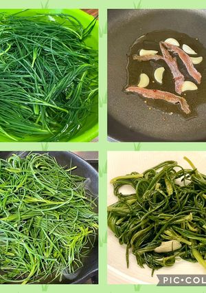Foto di 109 • Agretti saporiti (se famo du’ spaghi??? 😄)