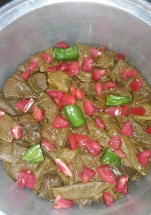 عکسی از دستور دلمه برگ مو 😋