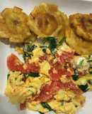 Espinacas y col tiernas rizada en huevos