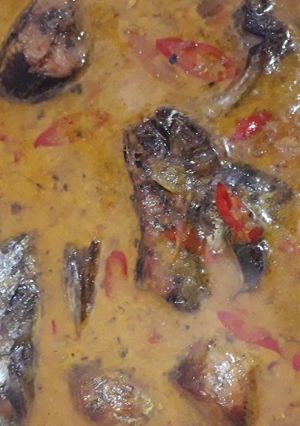 Foto resep Tongkol bumbu kuning santan