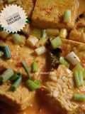 Lembaran Tempe Khas Pekalongan