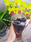 Winter Melon and Grass Jelly Herbal Drink with Chia Seeds