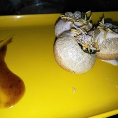 A picture of Golgappa chat.