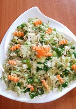 A picture of Bell pepper cabbage 🥗 salad.