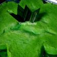 Bingka Telur Pandan