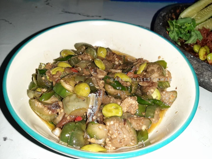 Cara Mudah Menyiapkan Resep 3 Tumis Terong Lalap yang Bisa Manjain Lidah Anti Ribet, Bisa Manjain Lidah