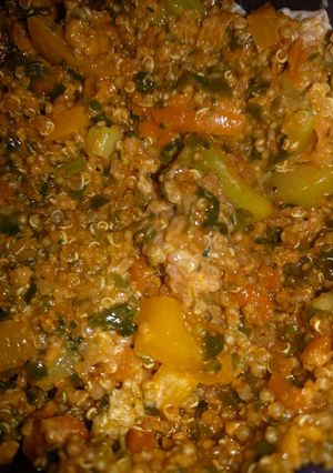 A picture of Quinoa and quorn dinner.