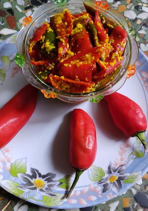 લાલ મરચાં નું અથાણું (Lal Marcha Athanu Recipe In Gujarati) રેસીપી મુખ્ય ફોટો
