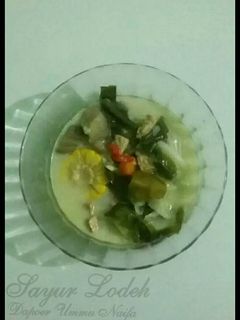 Foto resep Sayur lodeh