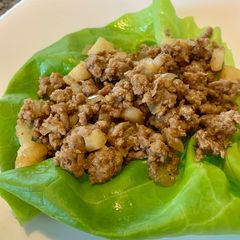 A picture of Turkey Lettuce Wrap.