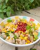 Ensalada de pollo del cocido y granada con vinagreta con miel