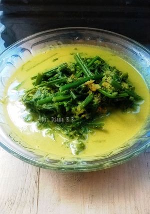 Foto resep Pakis Masak Santan