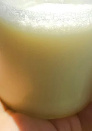 Foto de Ananás com gelatina