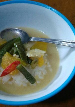 Foto resep 🌳 Sayur lodeh 🌳