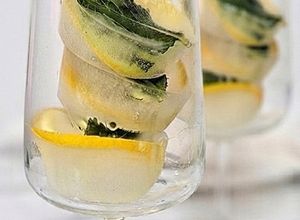 Foto principal de Cubitos de hielo con tónica y cítricos