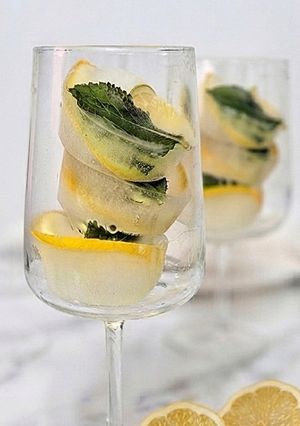 Una foto de Cubitos de hielo con tónica y cítricos