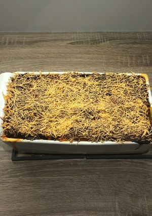 Une photo de Lasagnes aux légumes