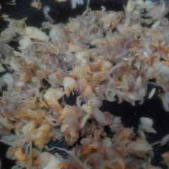 รูปของ Tumis bawang teri nasi