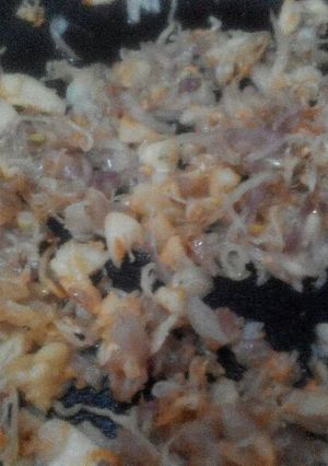 Foto resep Tumis bawang teri nasi
