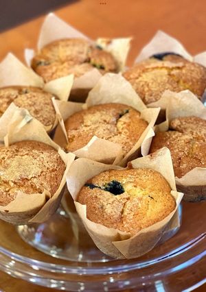 A picture of Blueberry Muffin.