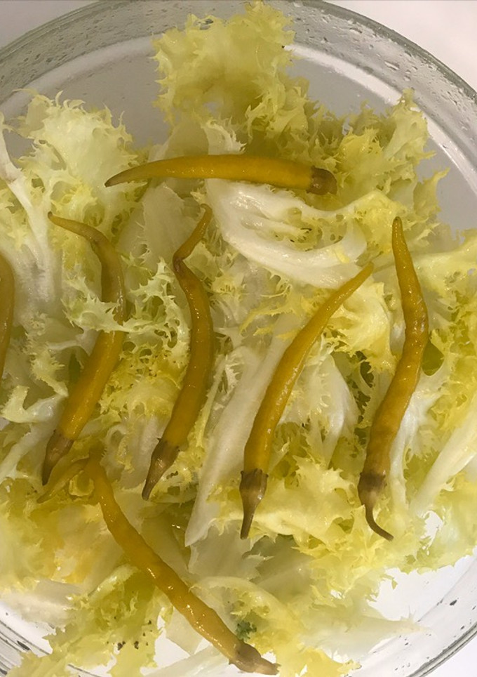 Una foto de Escarola rizada de la huerta tudelana con guindillas piparras