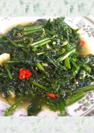 Foto resep Tumis Pakis Hijau
