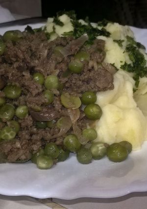 A picture of Mashed potatoes with minced meat and green peas stew.