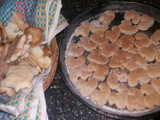 Galletitas fáciles y rápidas!